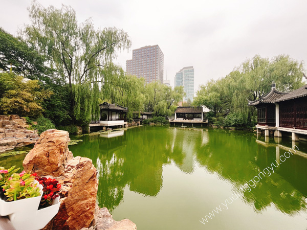 东湖别墅 |  东湖别墅东湖 • 生活志狗狗乐园 铲屎官的福音—东湖别墅