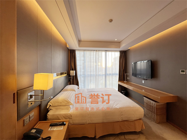 雅诗阁来福士 (2).jpg