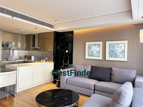 北京雅诗阁来福士中心服务公寓1居室103平米1卫朝东 (2).jpg